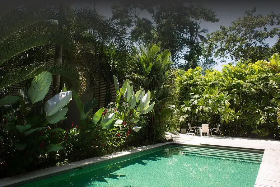Paisajismo y piscina